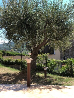 Jardín