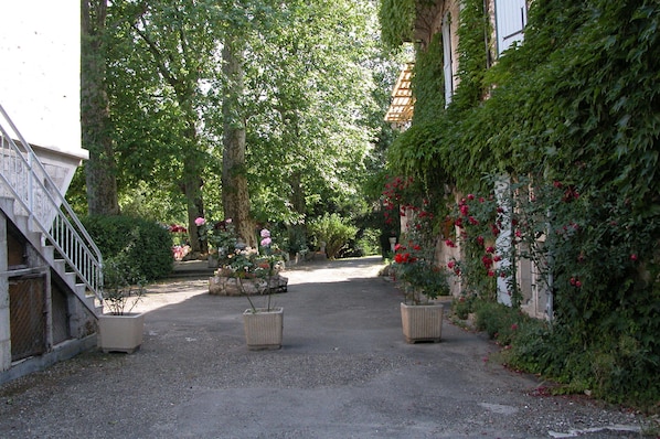 Jardín