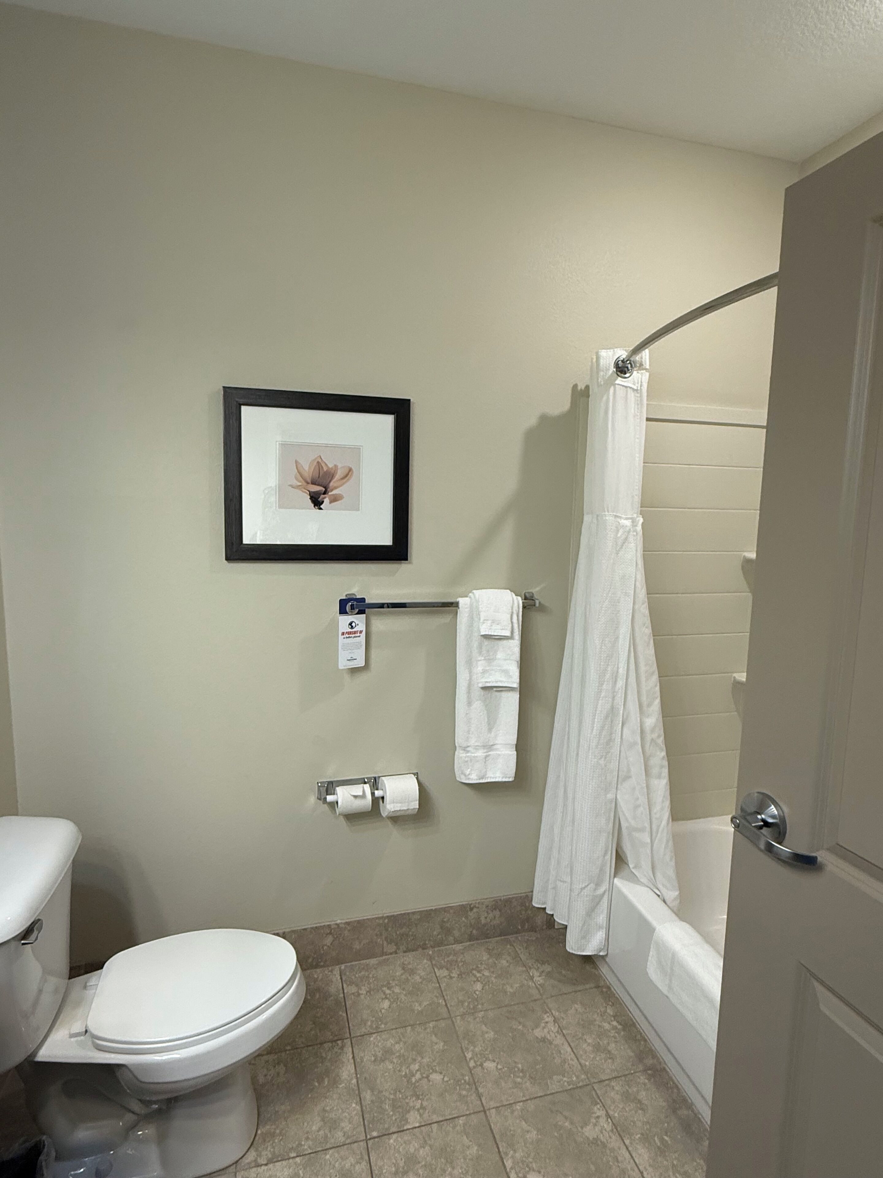A bathroom with a toilet, a framed picture on the wall, a towel rack with towels, and a shower curtain.