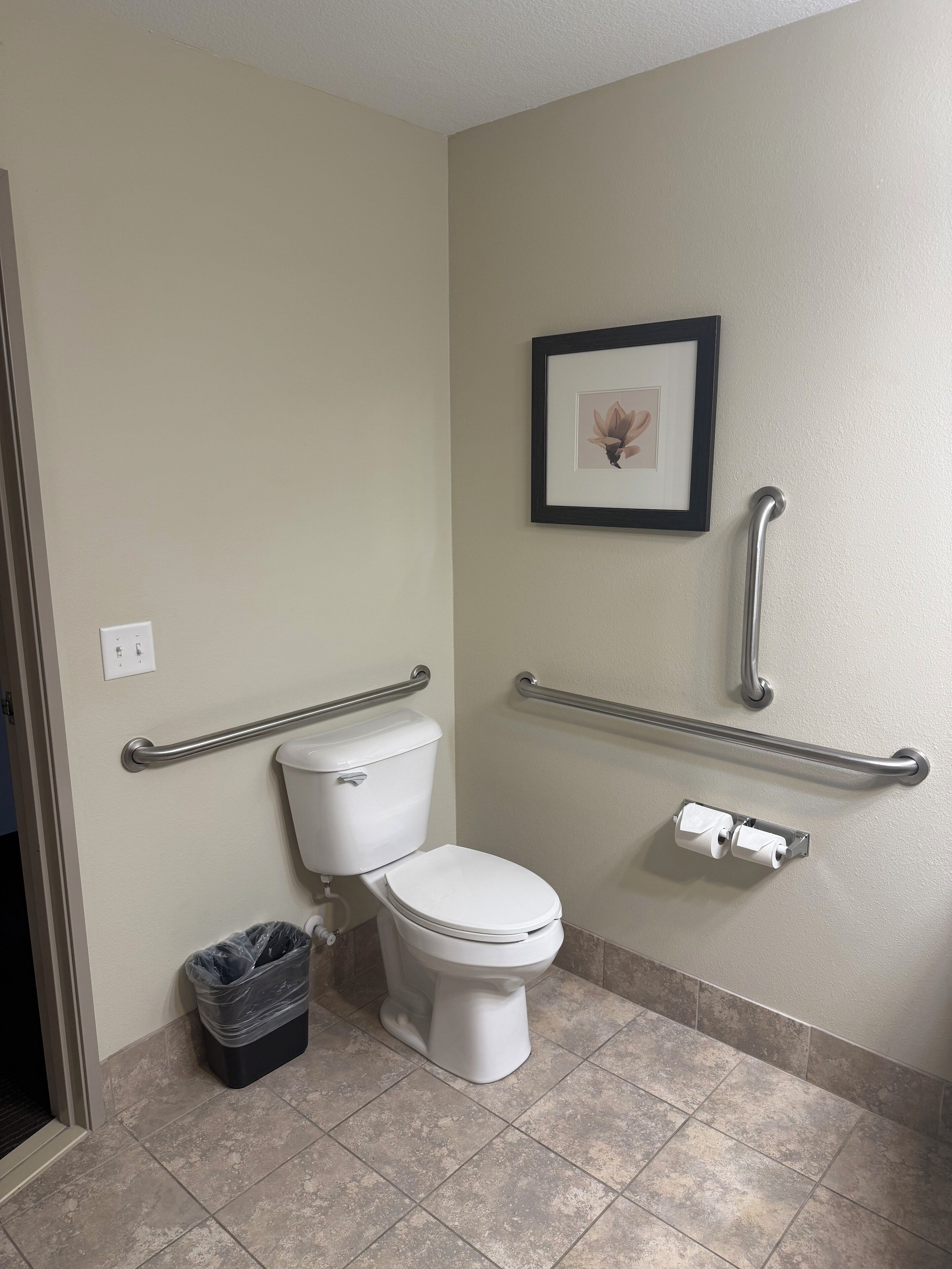 A bathroom with a toilet, grab bars, a trash bin, and a framed picture on the wall.