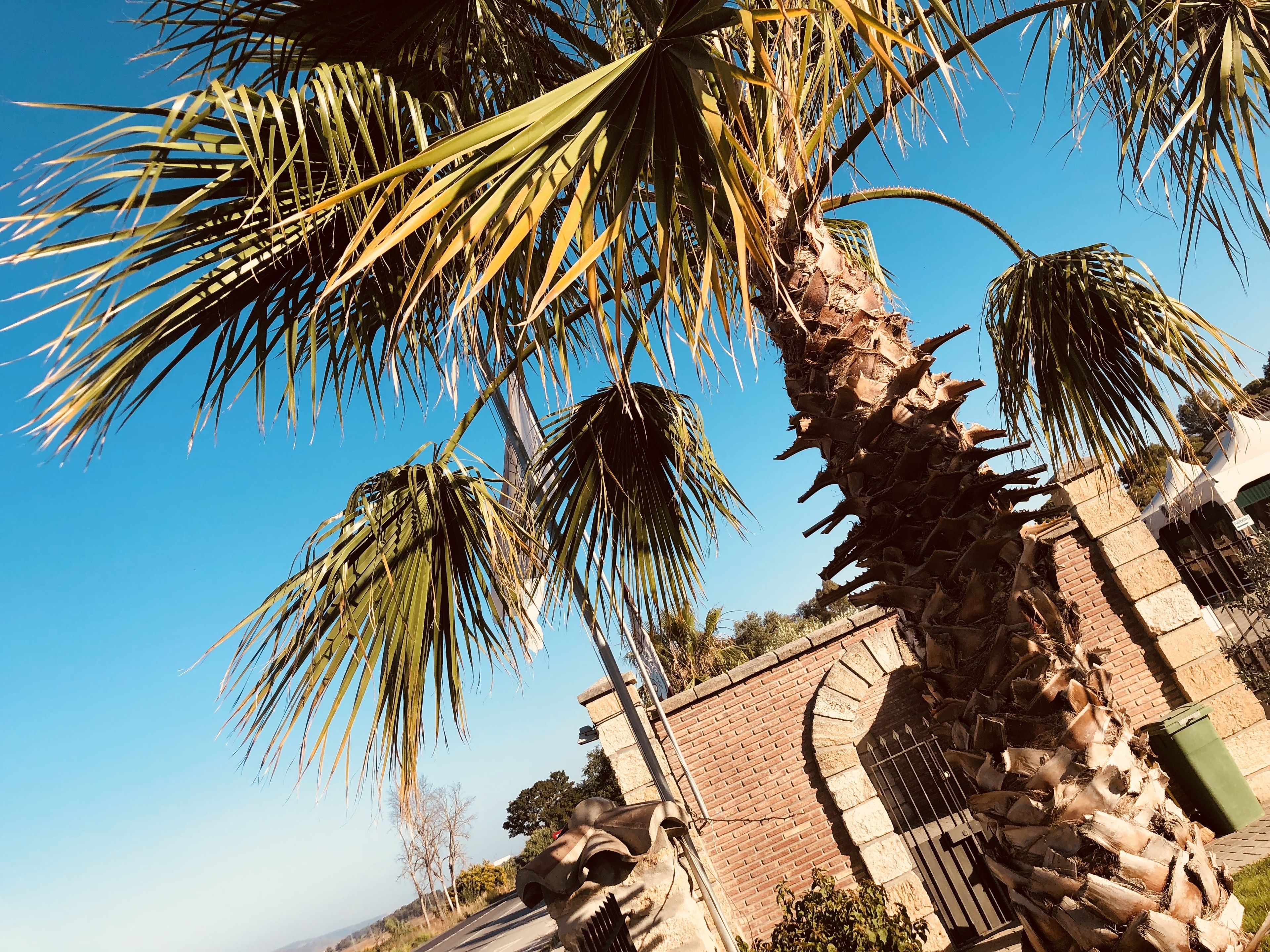 Foto - Hotel Nómadas