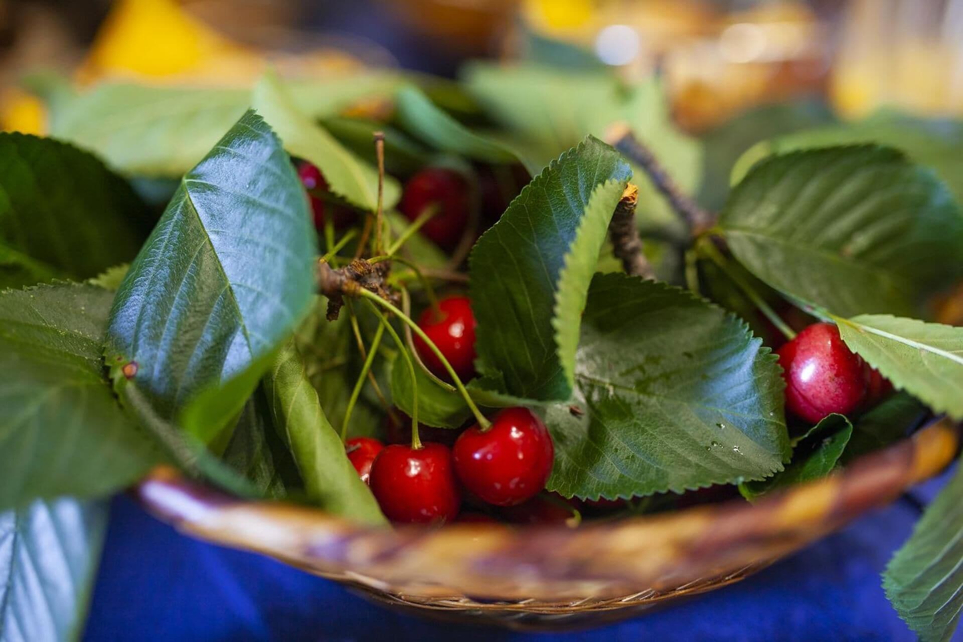 A basket filled with red cherries and green leaves.