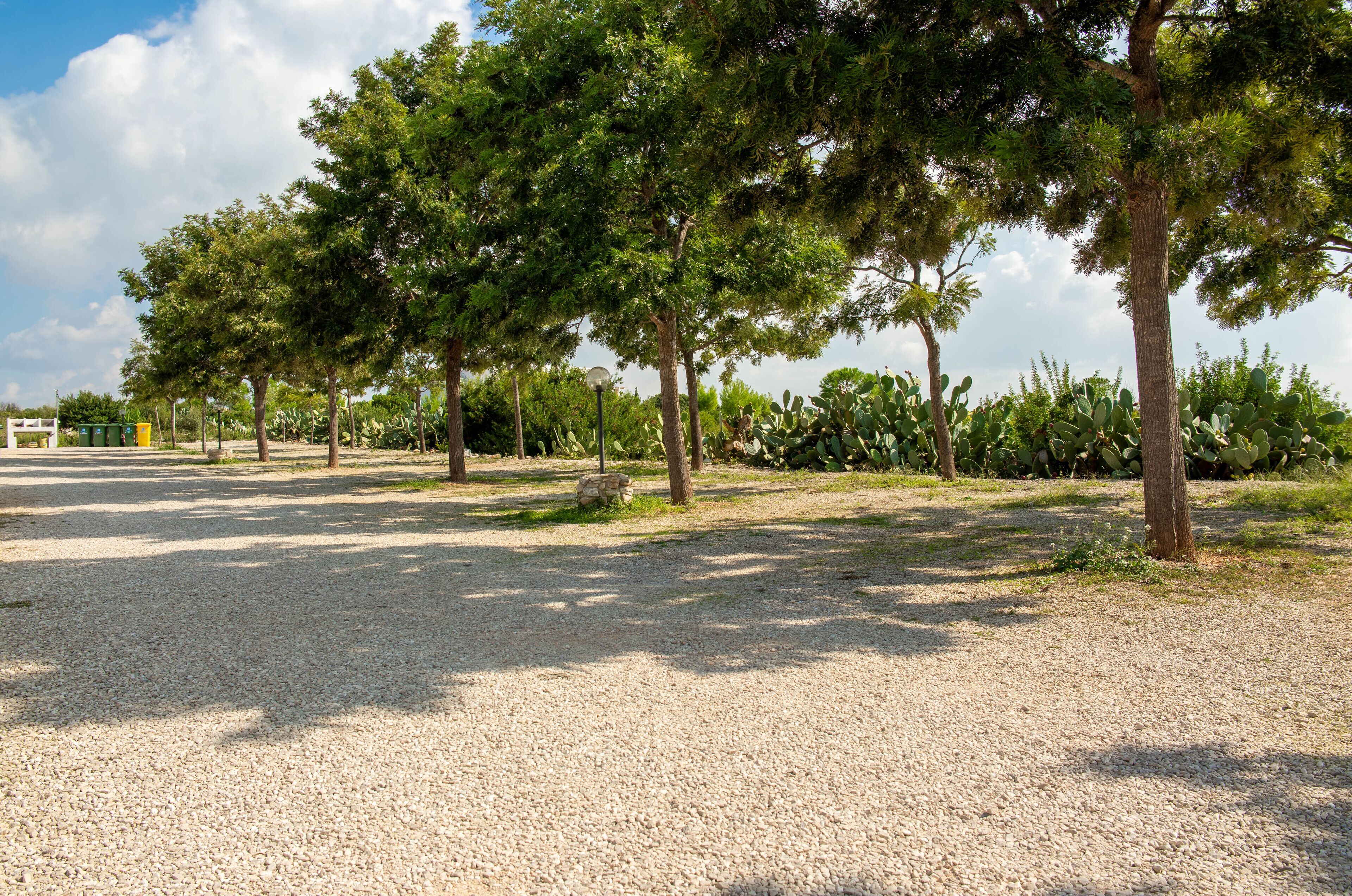 A gravel path lined with trees and cacti, leading to a white building in the distance.