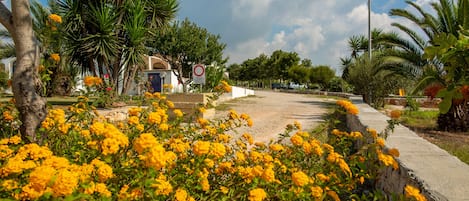 A paved pathway with yellow flowers in the foreground, a no parking sign, and palm trees in the background.