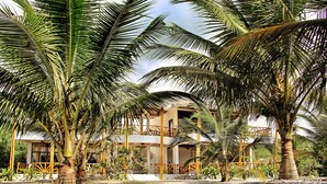 A resort with multiple palm trees, a two-story building, and a sandy beach.