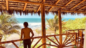 A person standing on a wooden deck overlooking a beach with palm trees and a thatched roof structure.