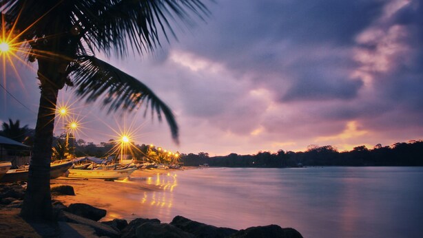 A beach with boats, a palm tree, and a calm sea under a twilight sky.
