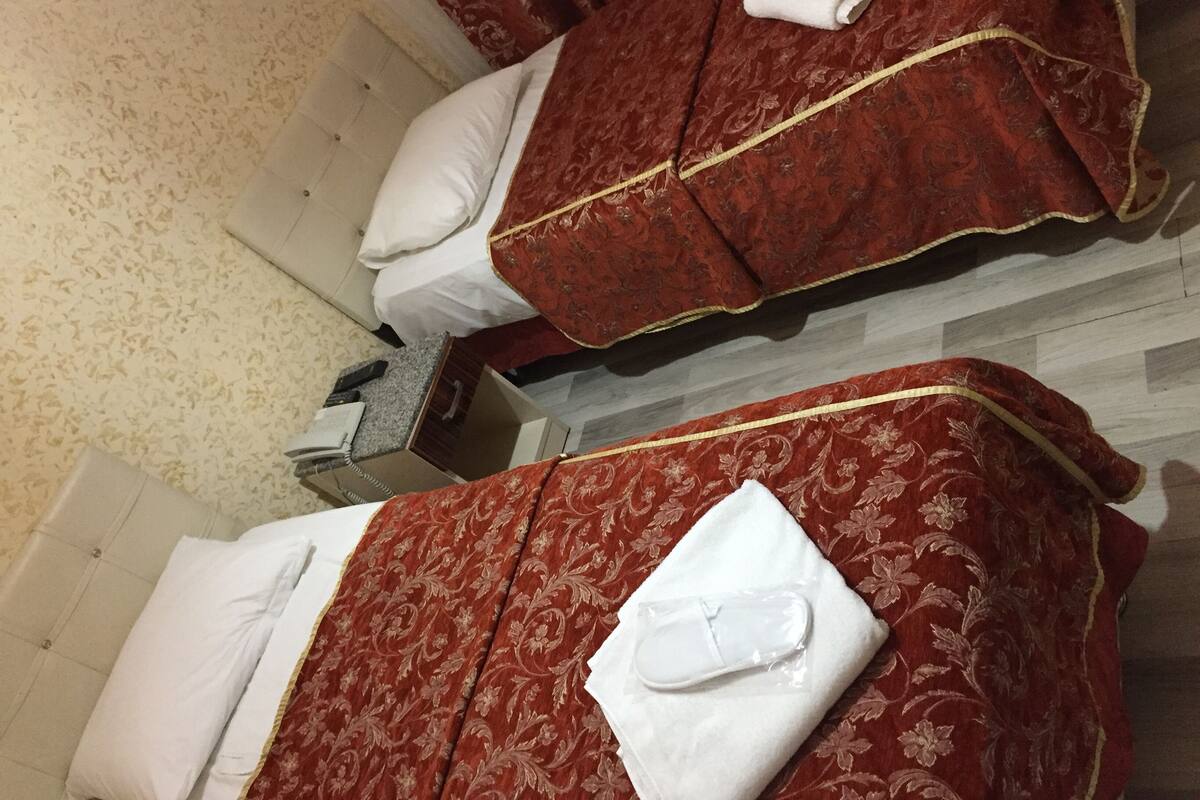 Basic Double Room, 2 Single Beds