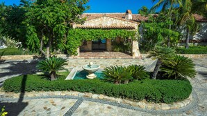 Un patio con una fuente, rodeado de exuberante follaje y palmeras.