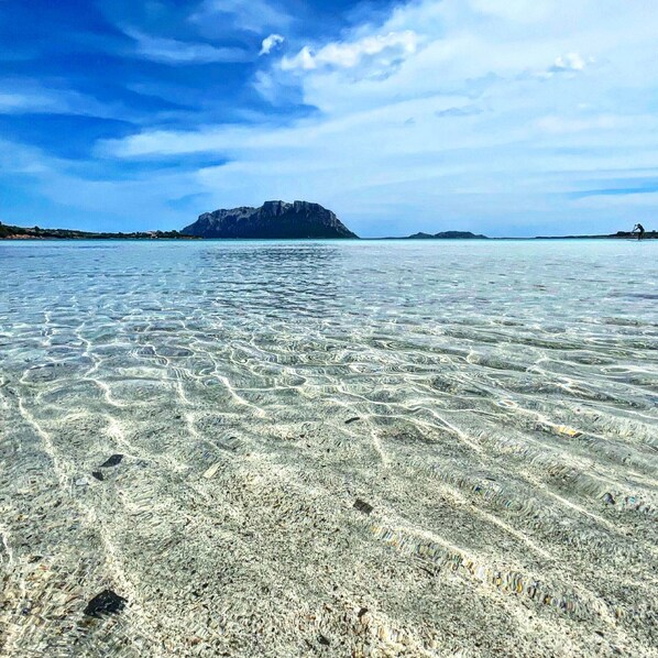 Plage à proximité, chaises longues