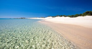 A beach with clear shallow waters, sandy shore, and greenery in the background.