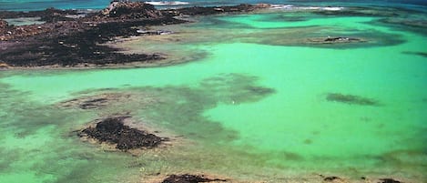 Plage à proximité, chaises longues
