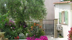 Een tuin met diverse planten en bloemen, een stenen muur en een metalen hek.