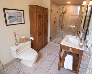 Secador de cabelo, toalhas de banho, sabonete, shampoo