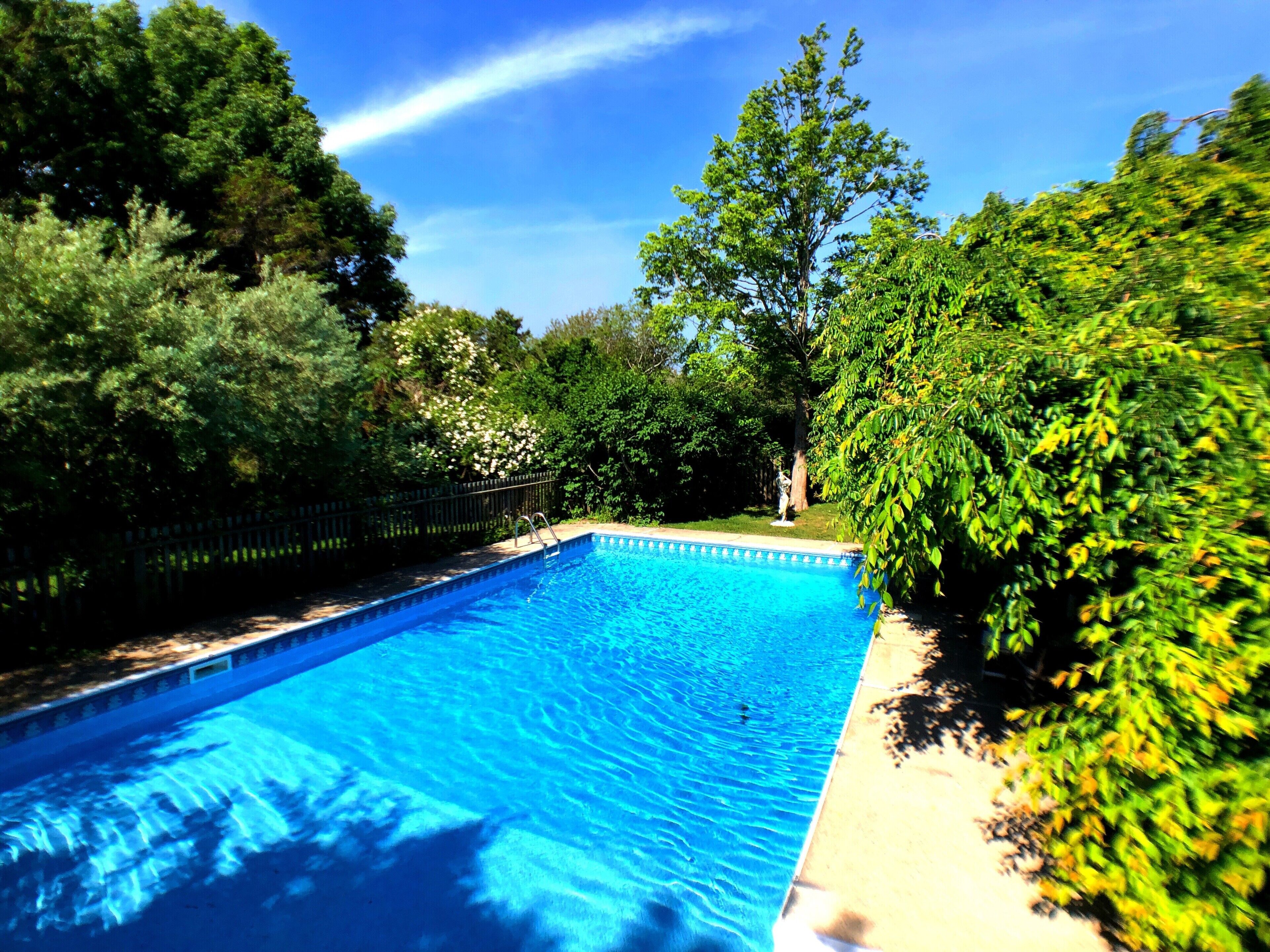 LUSH SPACIOUS OASIS & PRIVATE POOL! 