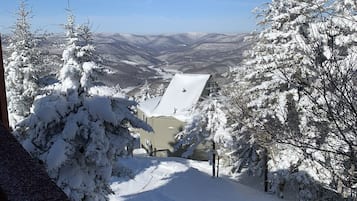 Terrain de l’hébergement