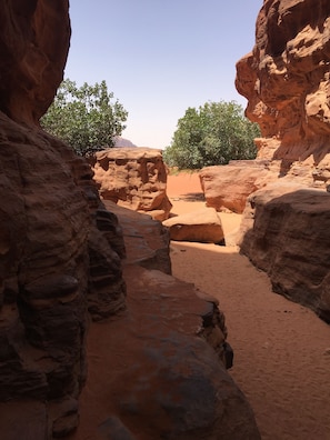 A narrow canyon with reddish rock formations and sparse vegetation. - camp Nights stars (Wadi Rum)