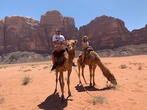 Ecotours - camp Nights stars (Wadi Rum)