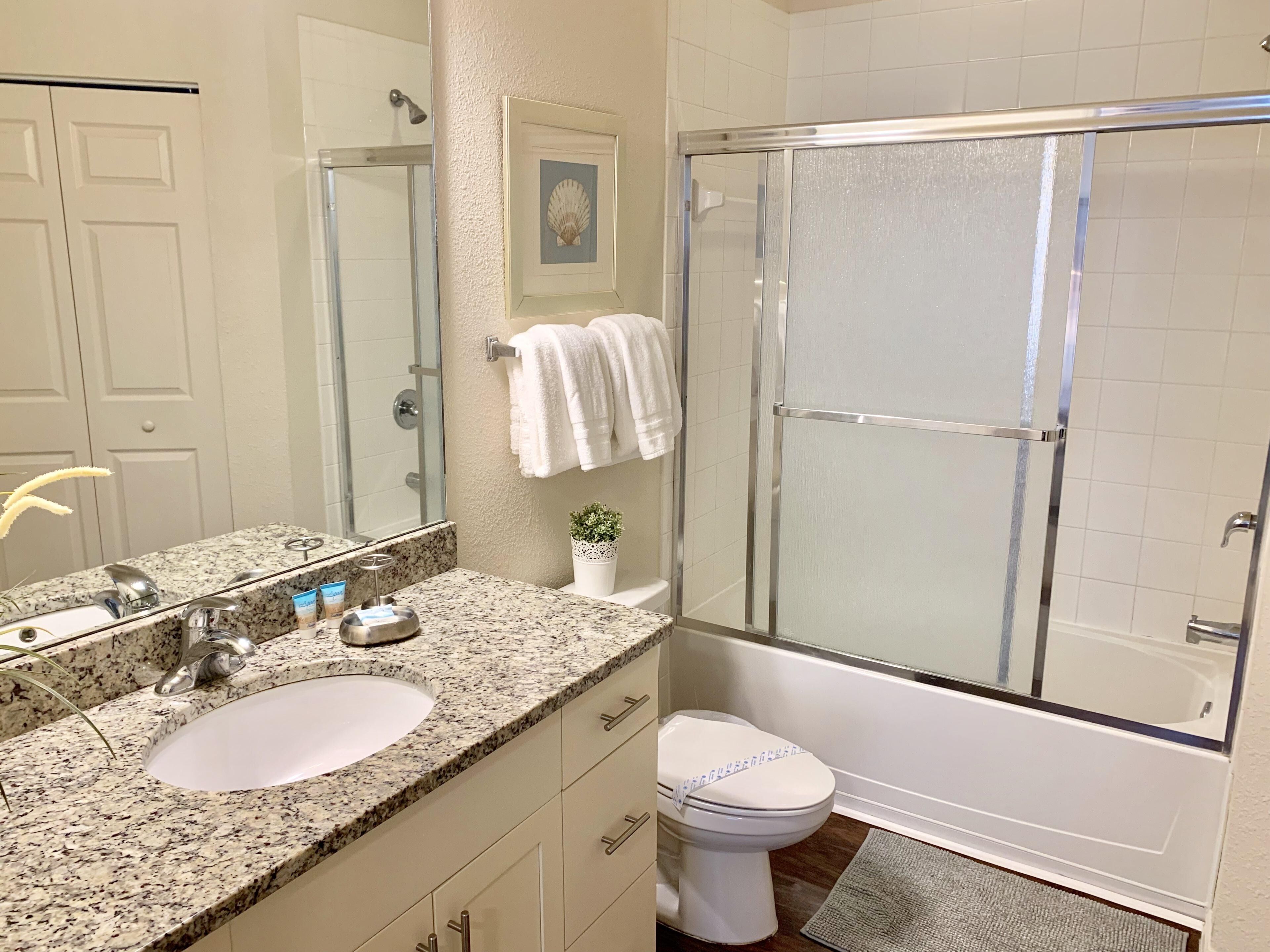 A bathroom with a granite countertop, a sink, a toilet, a shower with a glass door, and a small potted plant.