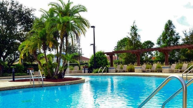 A swimming pool with palm trees, lounge chairs, and a pergola.