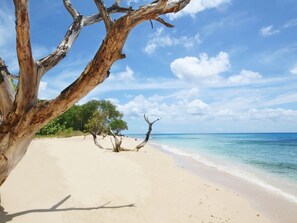 View from property - Andkar Vacation Apartment (Speightstown)