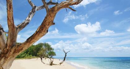 Andkar Vacation Apartment