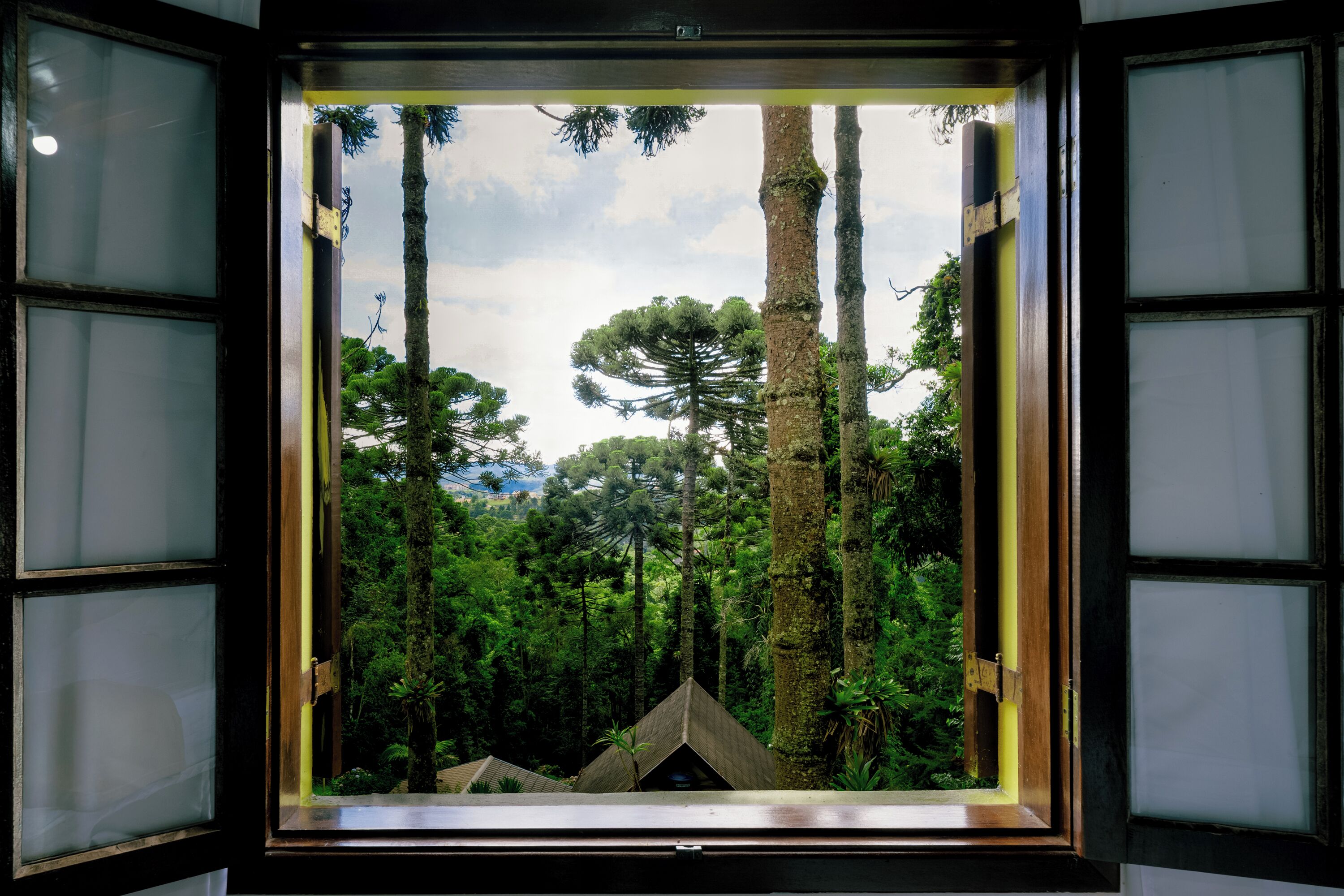 Landuitzicht vanuit accommodatie