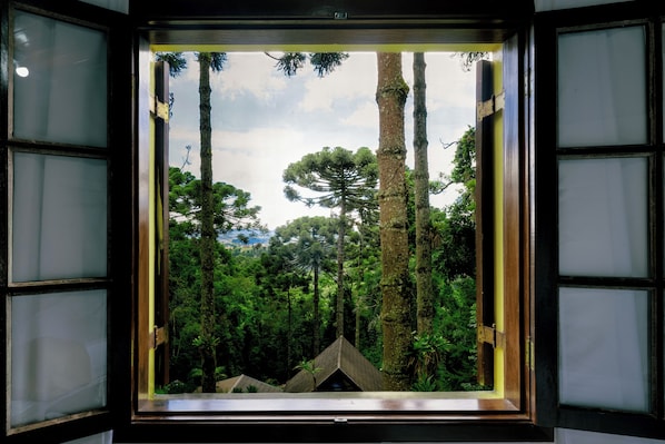 Vistas al campo desde el alojamiento