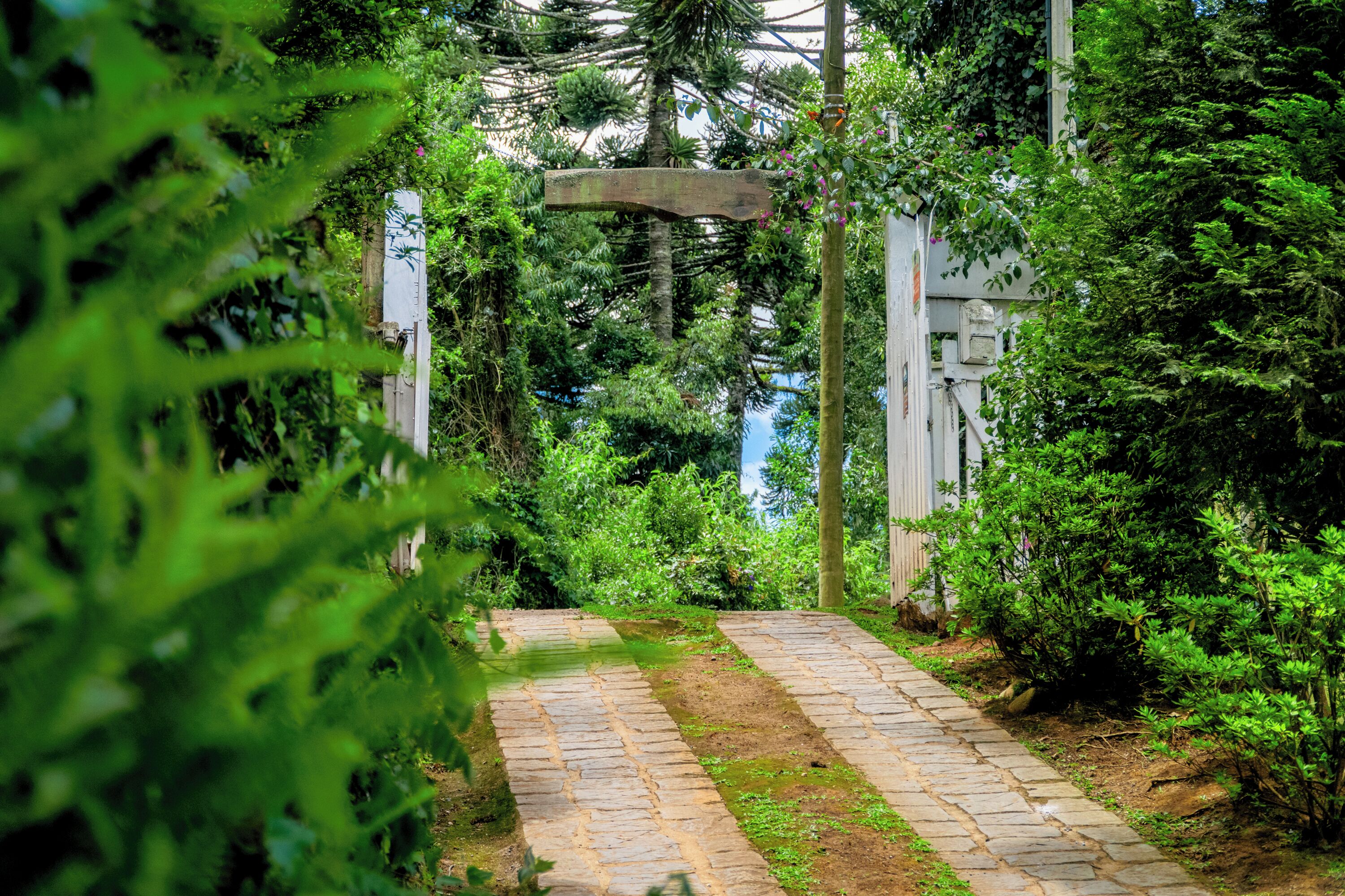 Entrada (vista interna)