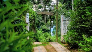 Un chemin de pierres qui traverse un jardin luxuriant, avec un feuillage dense et une arche en bois.