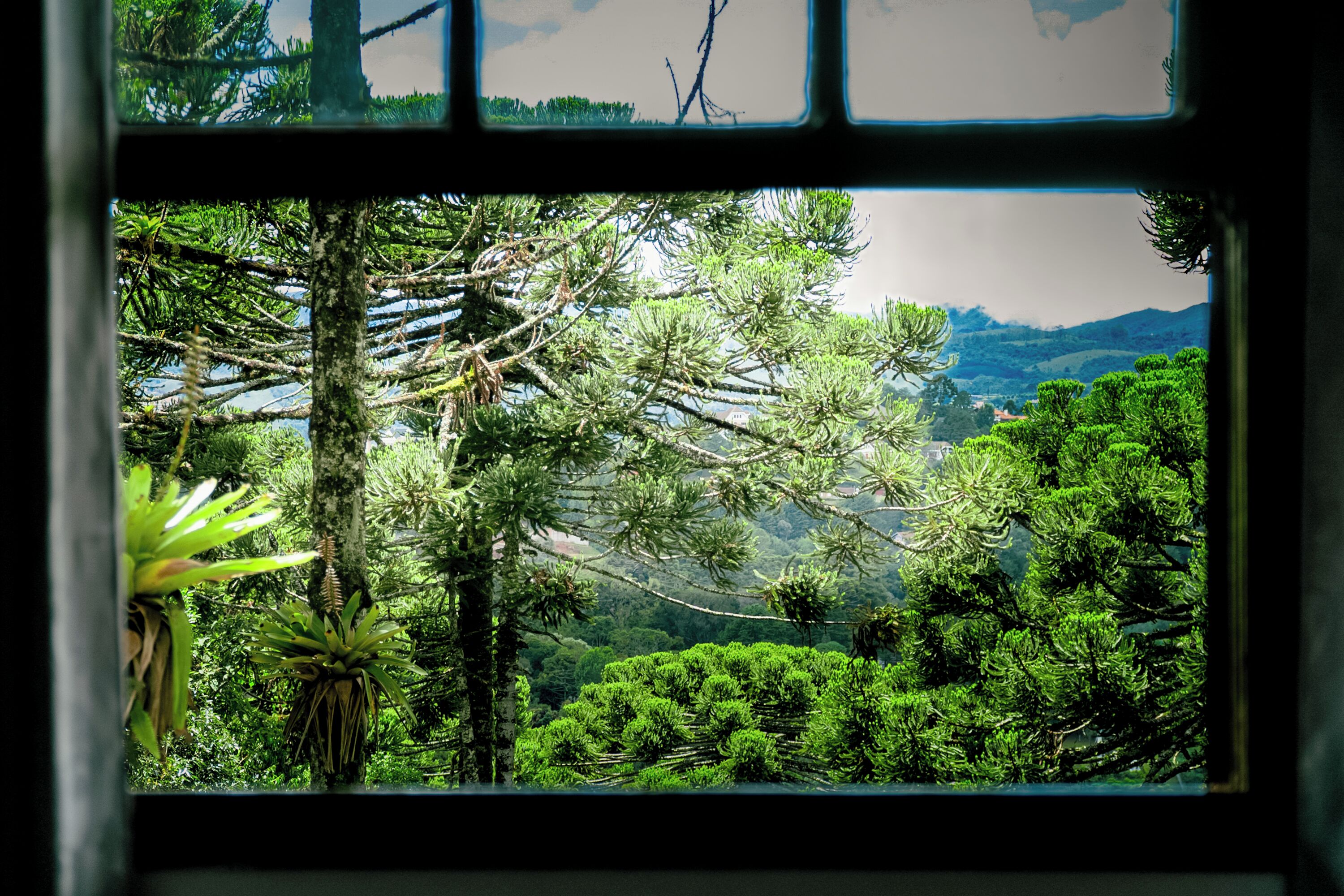 Photo - Pousada Casa de Campos Guest House by Concavus