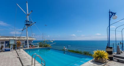 HosterĂa FarallĂłn Dillon