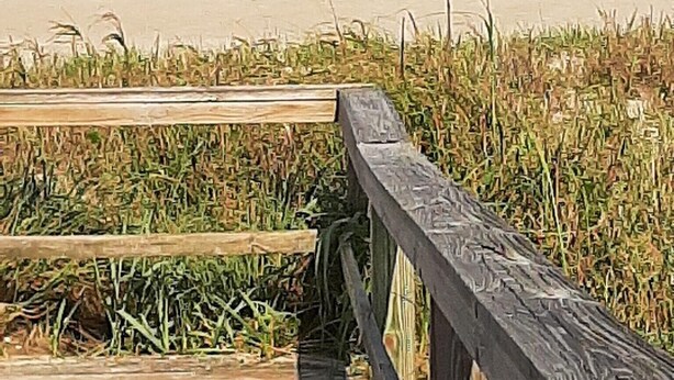 Ein Holzsteg führt zu einem Strand mit Wellen und einem Schiffen im Hintergrund.