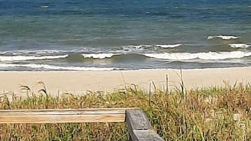 Plage à proximité, chaises longues, serviettes de plage