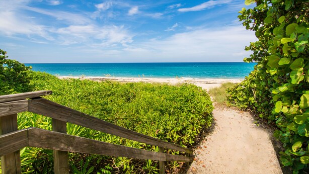 Ein hölzerner Weg führt zu einem Strand mit klarem, blauem Wasser und sandigem Ufer.