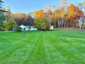 A well-maintained lawn with a small shed and a tree in the foreground.