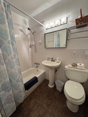 Combined shower/bathtub, hair dryer, towels, toilet paper