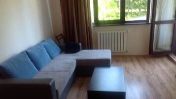 TV, DVD player, table tennis