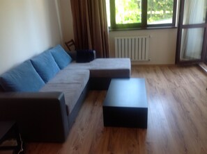 TV, DVD player, ping pong