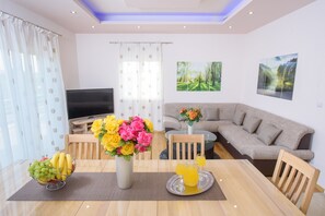 Smart TV, fireplace, DVD player