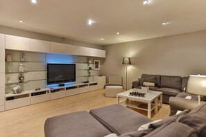 Televisie, een open haard, een dvd-speler en een filmbibliotheek