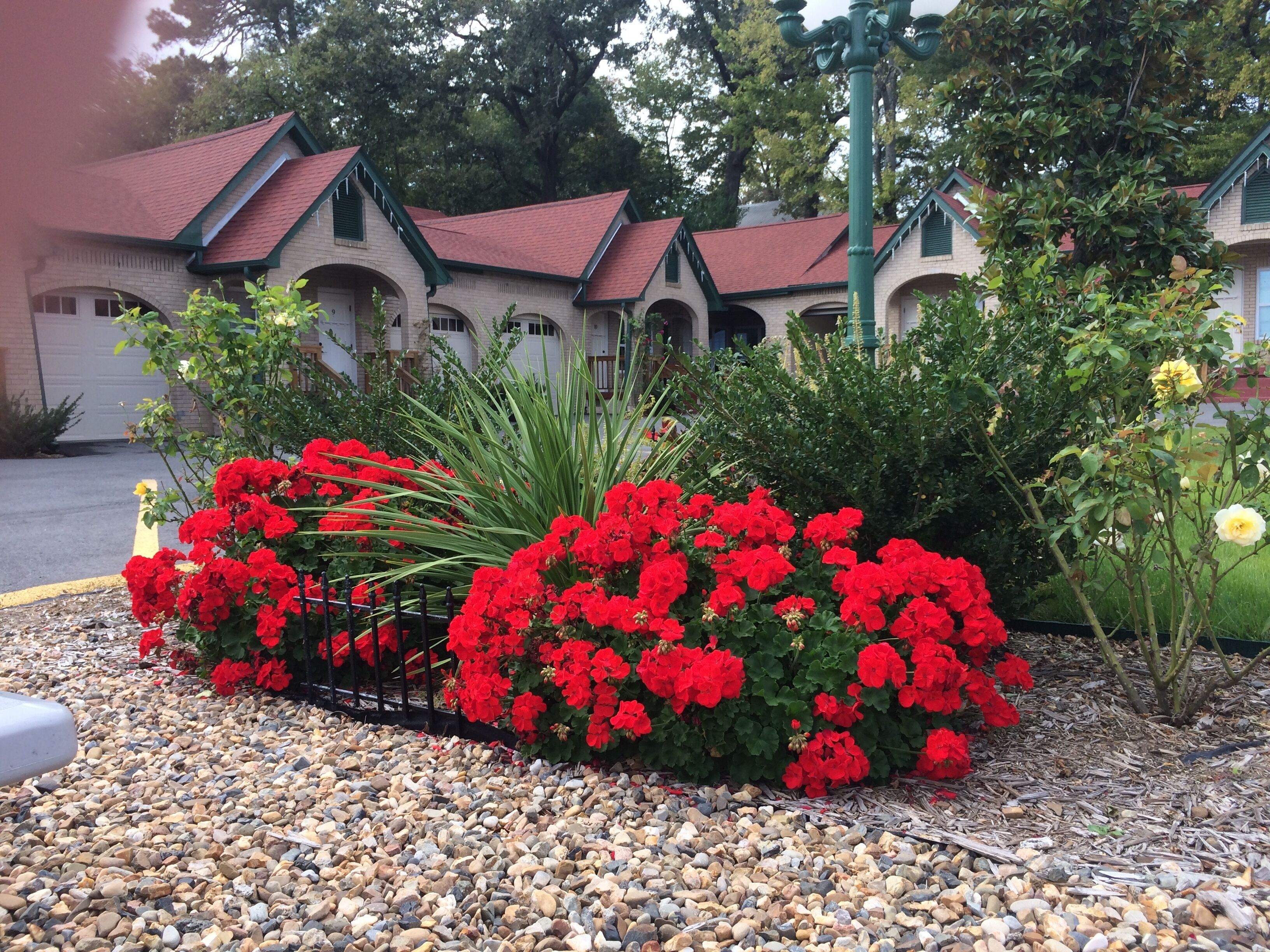 A building with a red roof and arched windows, surrounded by red flowers and greenery.