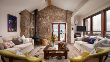 TV connectée, cheminée, jeux vidéo, lecteur de DVD