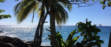 靠近海滩、沙滩毛巾