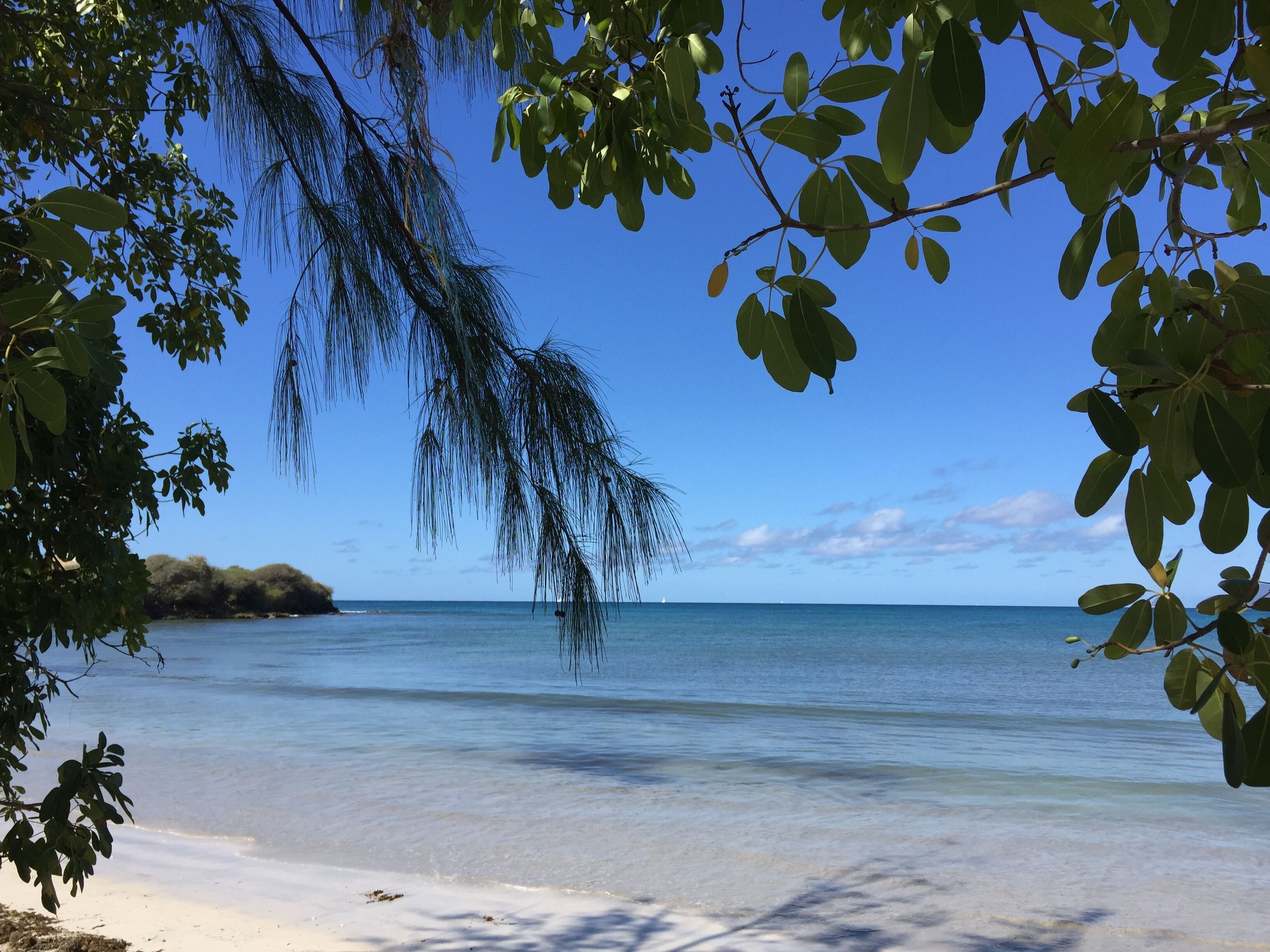 Playa en los alrededores y toallas de playa 