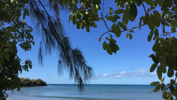 Uma praia com águas azul-claras, areal arenoso e vegetação verde exuberante.