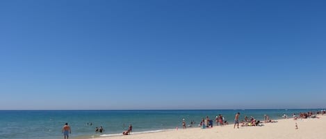 Una spiaggia nelle vicinanze