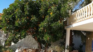 Une cour avec un grand arbre, un mur de pierre et un bâtiment doté d’un balcon.