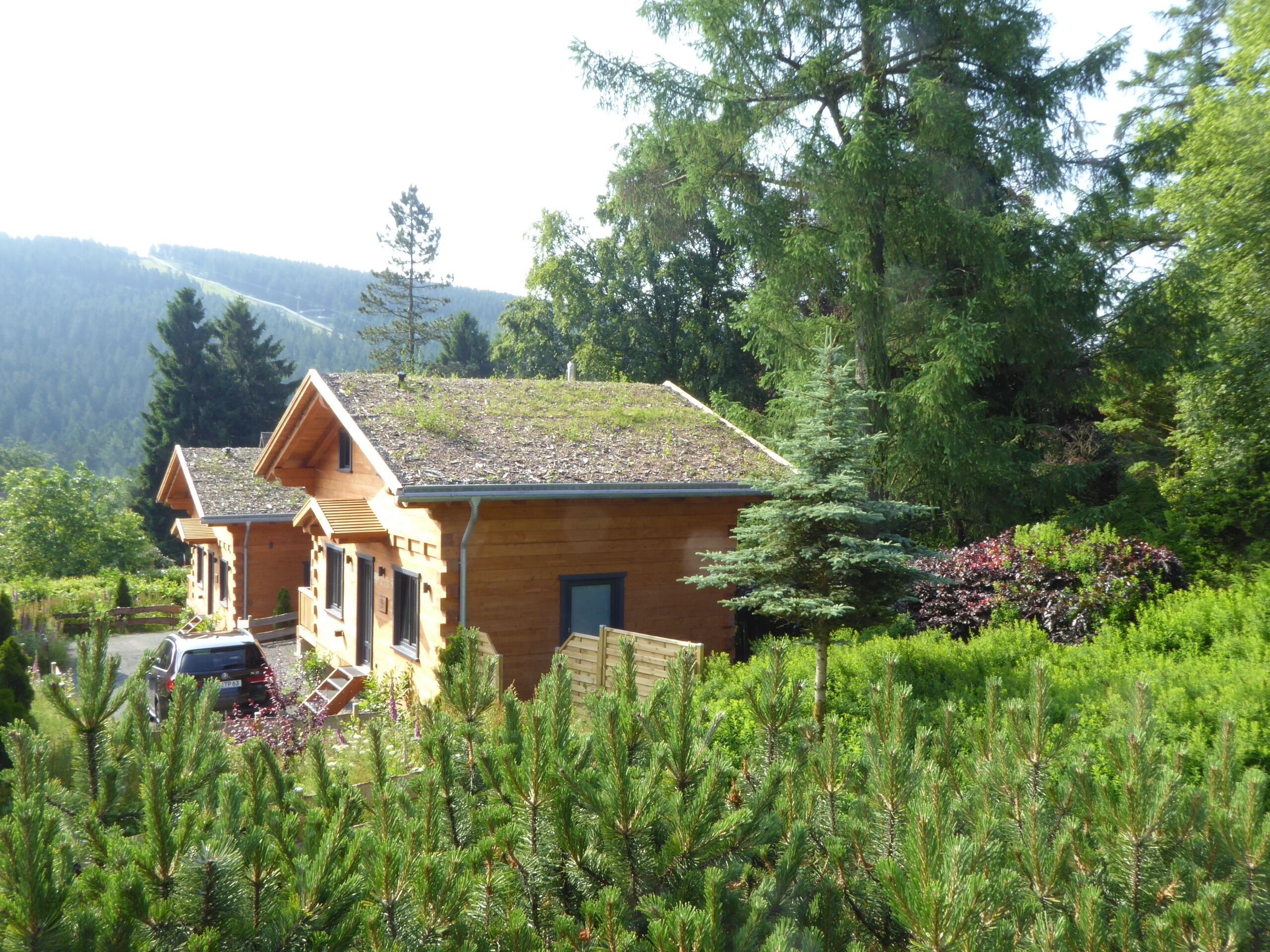 Une cabane en bois, dotée d’un toit en pente, entourée d’une végétation luxuriante et d’arbres.
