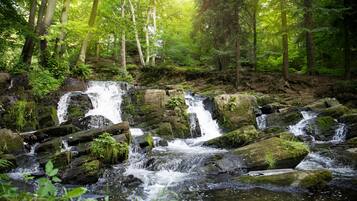 A natural waterfall in a forested area with rocks and greenery.